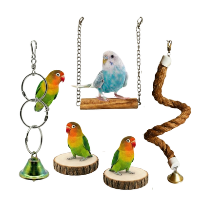 5 Pcs Birdy Bundle Pack for Budgies Lovebirds & Small Parrots