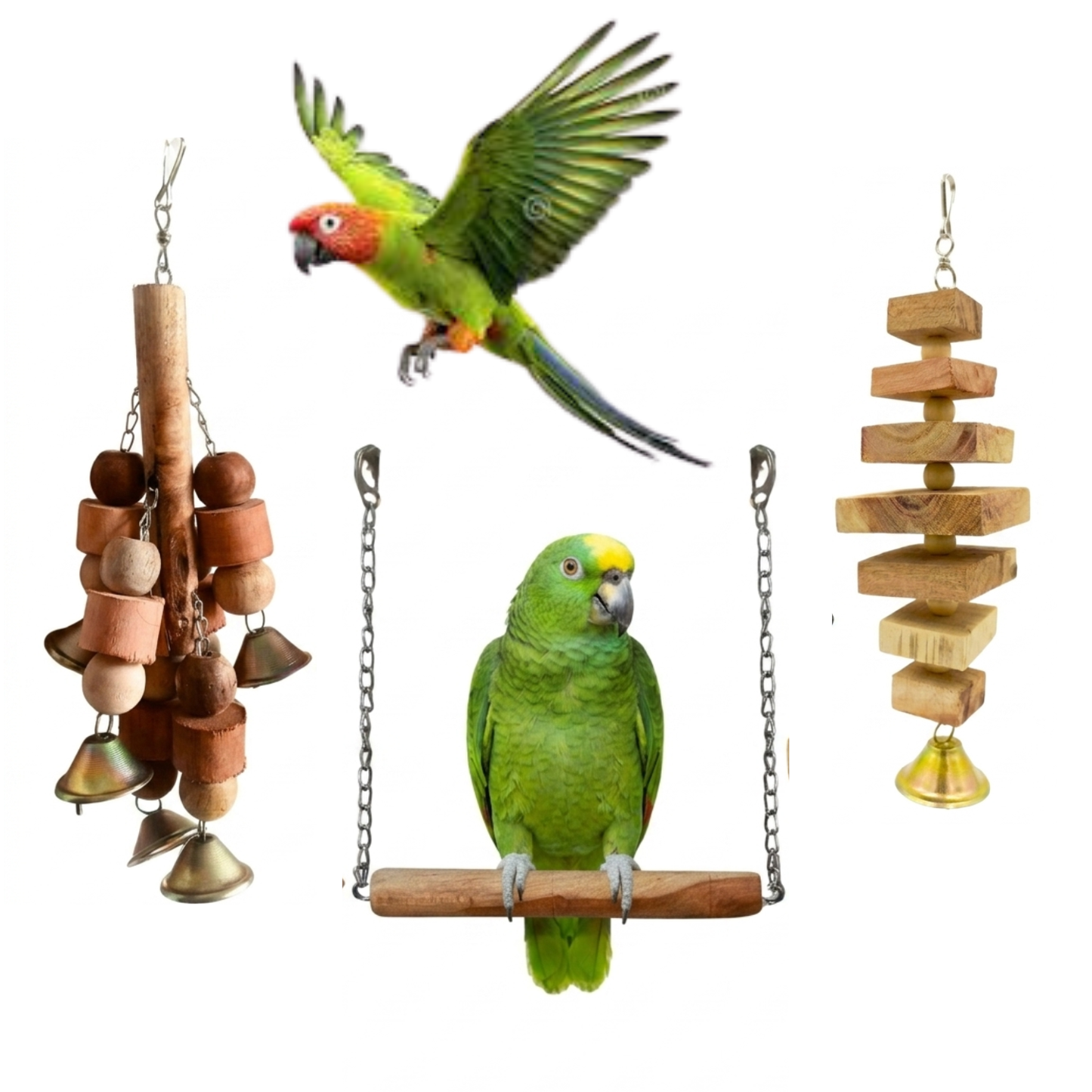 3 Pcs Birdy Bundle Pack for Ringneck, Raw & Large Parrots