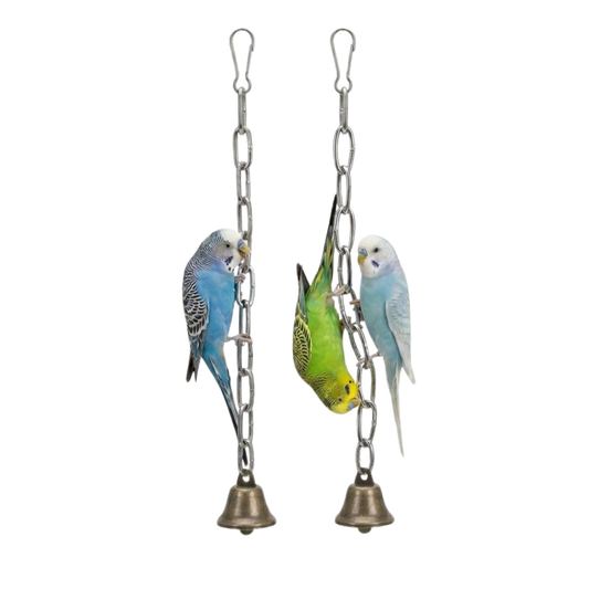 Pack of 2 Interactive Stainless Steel Chain Link Toy for Budgies & Parrots