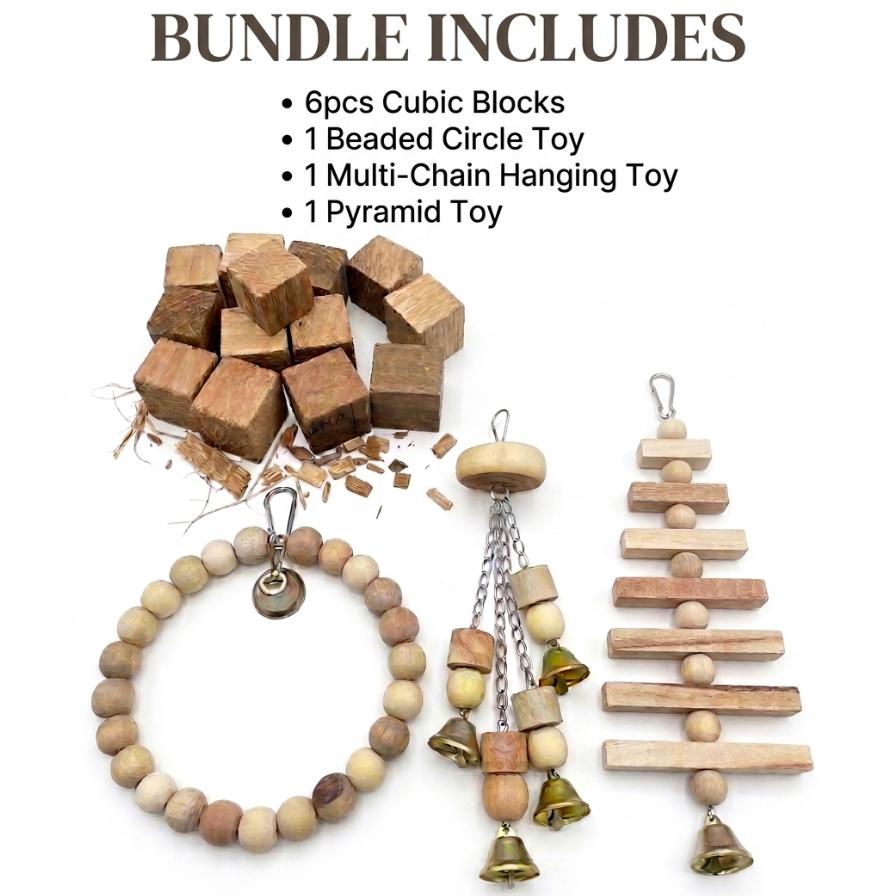 4 PCS Bundle Pack – Premium Bird Accessories for Medium & Large Birds