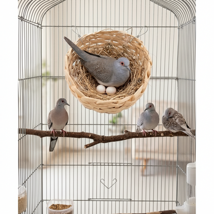 Half Covered Bamboo Nest for Doves & Canaries - Hangable Birds Breeding Basket