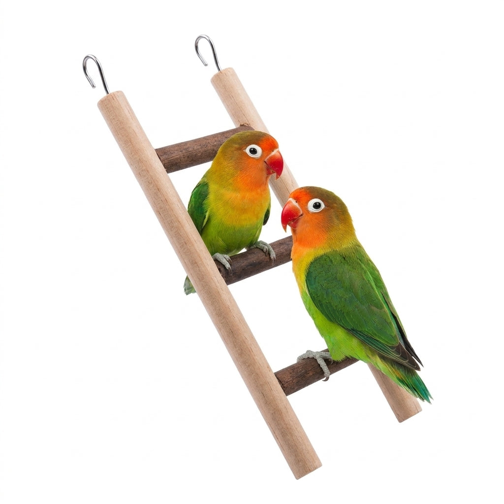 4 Pcs Birdy Bundle Pack for Cockatail Lovebirds Budgies & Small Parrots