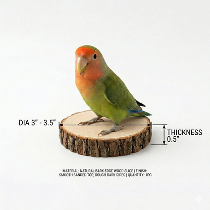 2 Pcs Natural Wood Rest Platform for Birds – Small Parrot Perch Stand (3" - 3.5" Diameter)