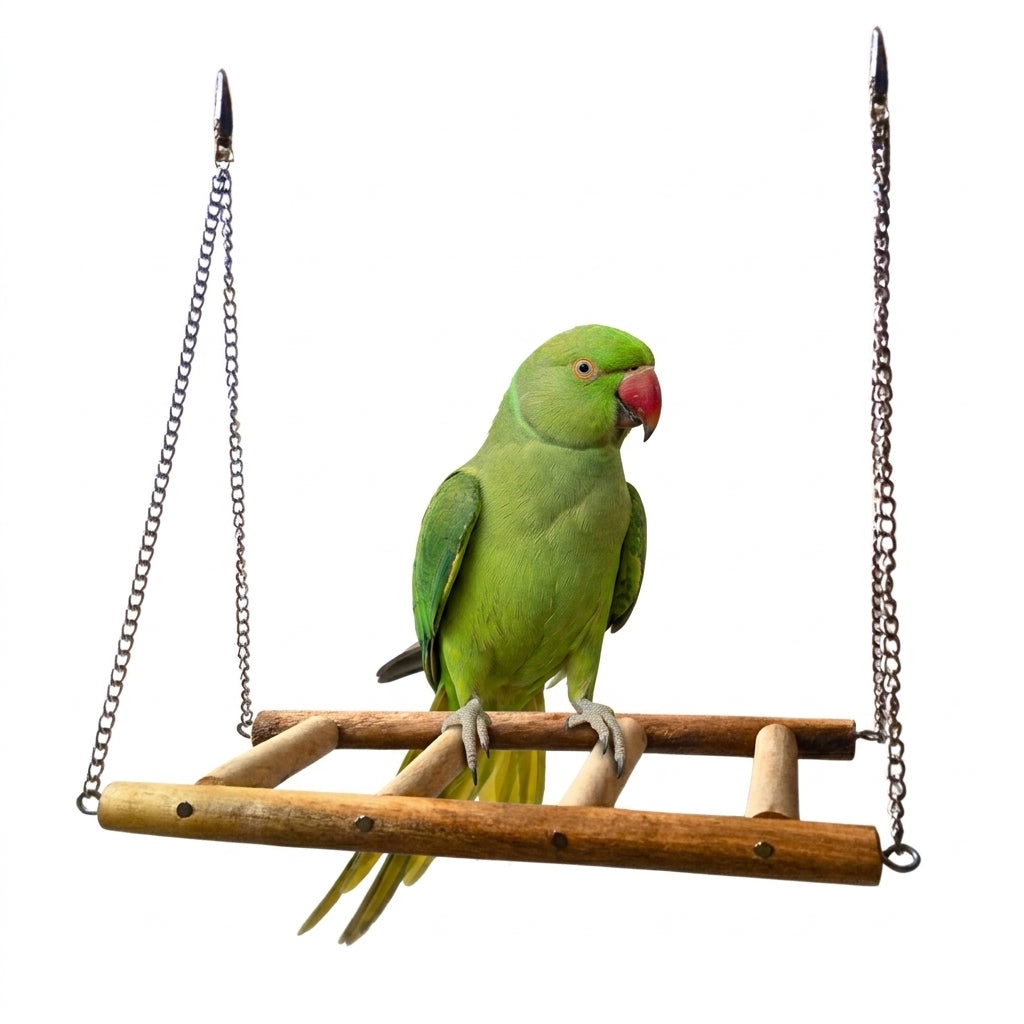 Handmade Wooden Ladder Swing for Large & Medium Birds