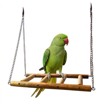Handmade Wooden Ladder Swing for Large & Medium Birds