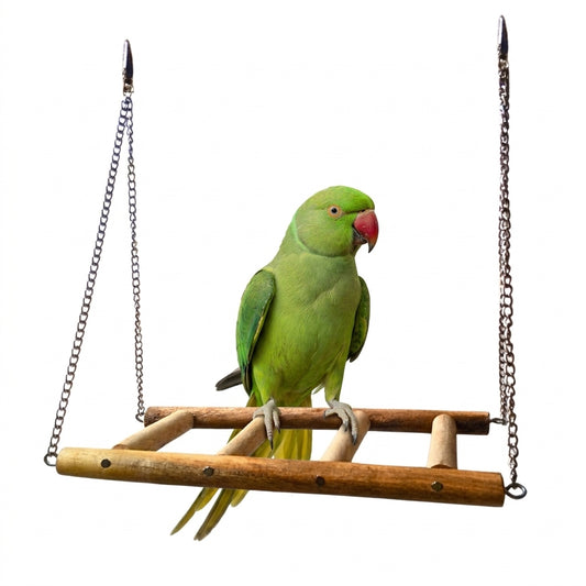 Handmade Wooden Ladder Swing for Large & Medium Birds