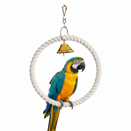 Heavy-Duty Cotton Rope Bird Swing for Large Parrots – Extra Thick 10-Inch Ring Perch Toy