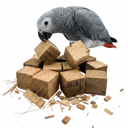 4 PCS Bundle Pack – Premium Bird Accessories for Medium & Large Birds