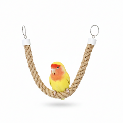 3 Pcs Birdy Bundle Pack for Sunconure Ringneck Amazon Parrots