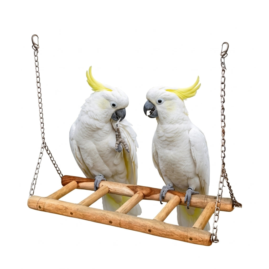 Heavy-Duty Wooden Ladder Swing for Large Parrots