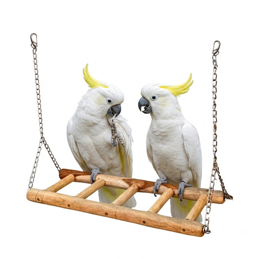 Heavy-Duty Wooden Ladder Swing for Large Parrots
