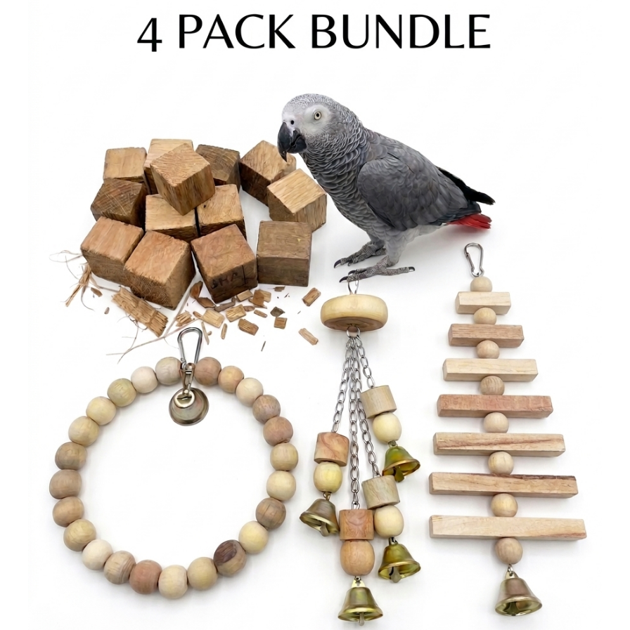 4 PCS Bundle Pack – Premium Bird Accessories for Medium & Large Birds