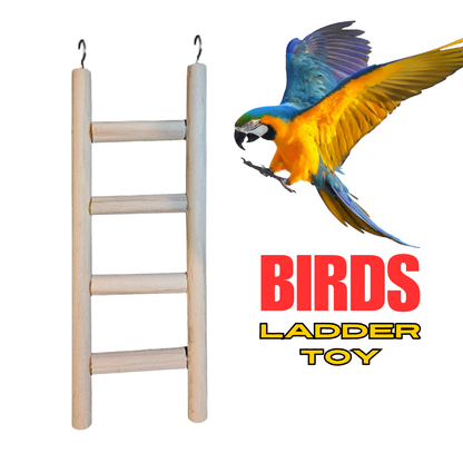 Large Hanging Ladder Toy Perches for Big Parrots
