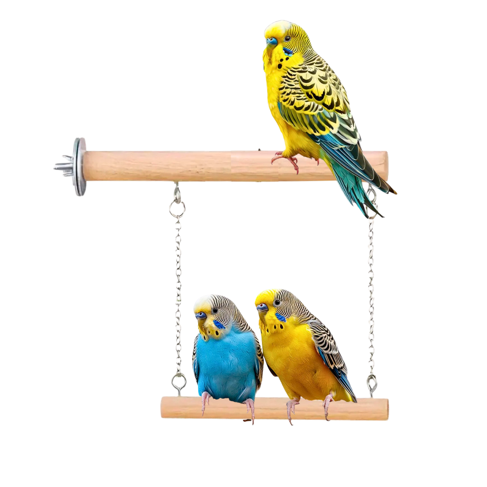Double Step Wooden Bird Swing – Hanging Perch for Budgies Lovebirds & Small Parrots