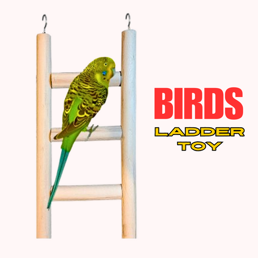Wooden Ladder Toy for Bugies Lovebirds Cockatails Ringneck Parrots