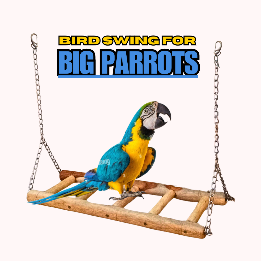 Birds Ladder Swing Toy for African Gray Macaw Cockatoos Raw Parrot