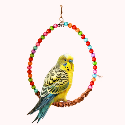 Colorful Beads Oval-Shape Birds Hanging Toy for Small Parrots