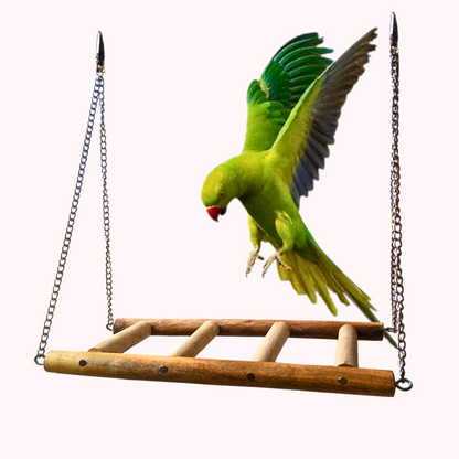 Birds Ladder Toy Perch Hanging Swing for Ringneck Cockatails etc.