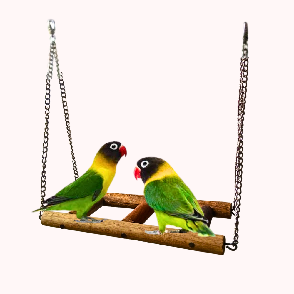 Birds Ladder Toy Perch Hanging Swing for Small Birds
