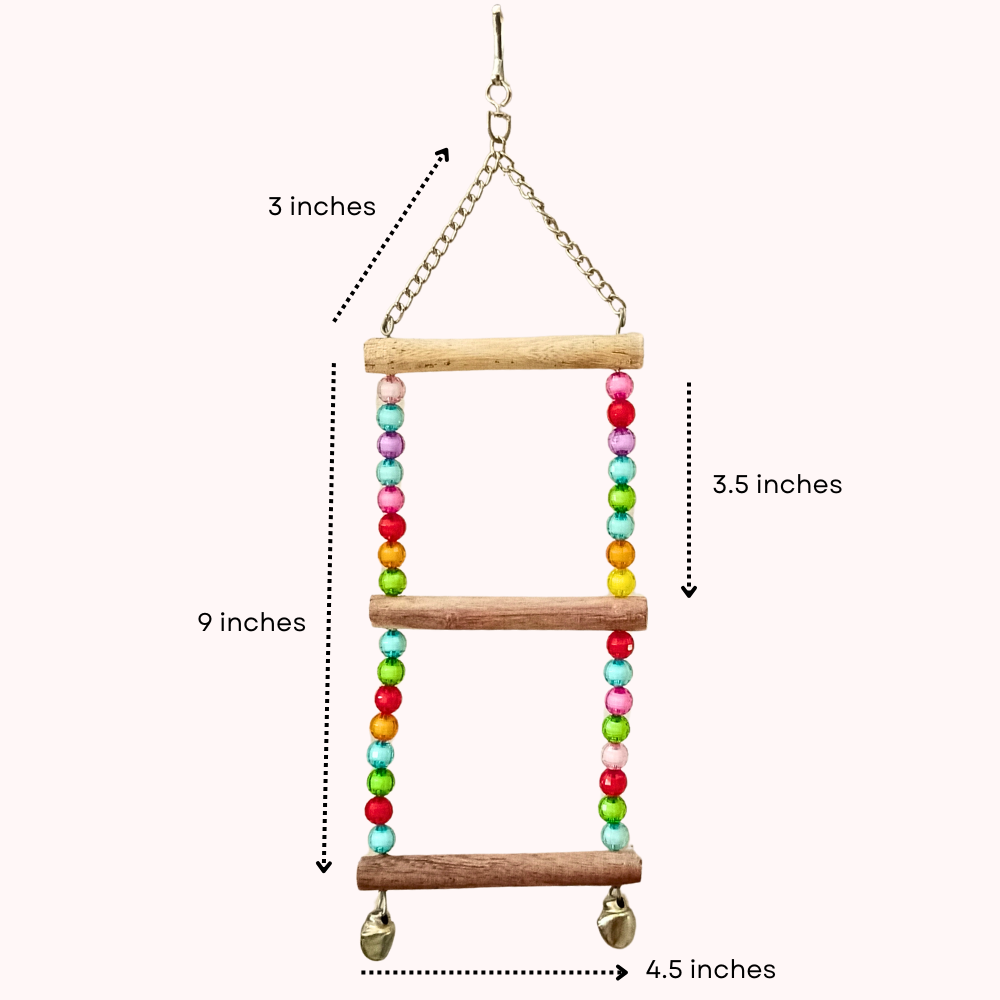 3-Steps Swing Hanging Climbing Toy for Small Bird
