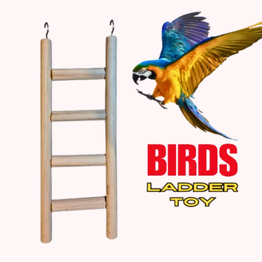 Large Wooden Hanging Ladder Toy Perches for Big Parrots