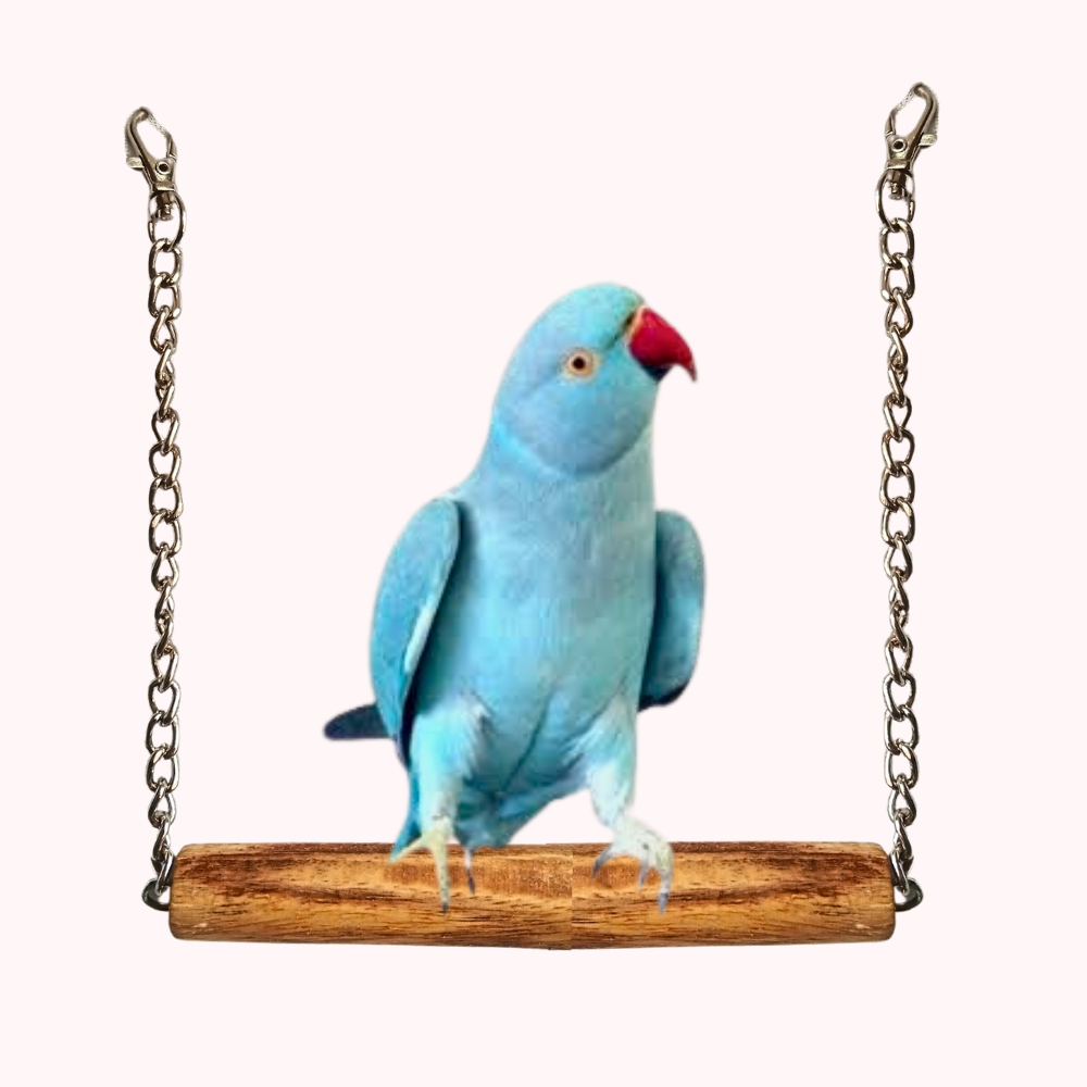 Wooden Swing Perch Toy for Cockatails Ringneck Sunconure Parakeet