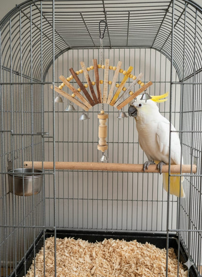Fan-Style Musical Bird Toy Perch with 7 Bells