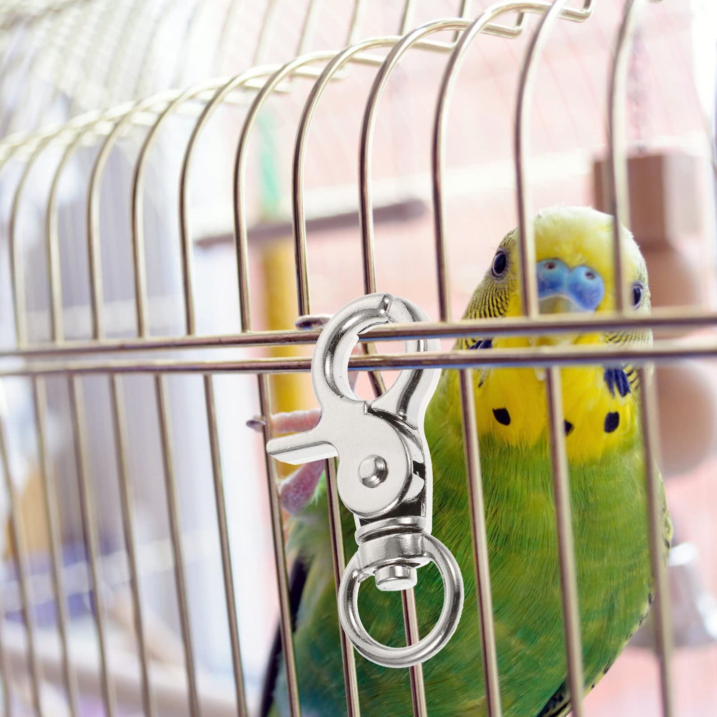 High Quality Metal Cage Door Lock for Pet & Bird Cages