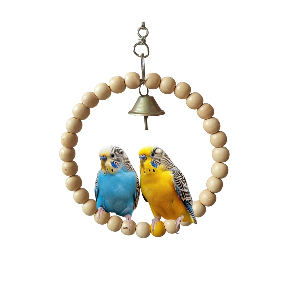 Eco-Friendly Round Bird Jhoola – Durable Circular Wooden Perch Swing