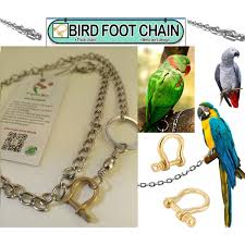 2ft Long Parrot Leashes Foot Chain, Anti-Bite Flying Training U-Shap Clasp Buckle