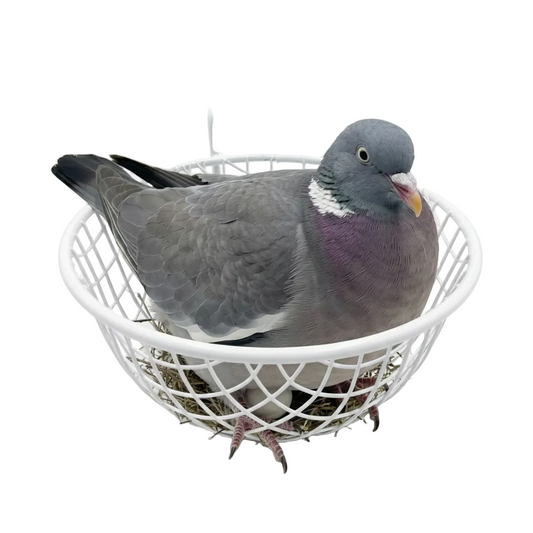 Pack of 2 Metal Nesting Basket for Pigeons – 6-inch Diameter